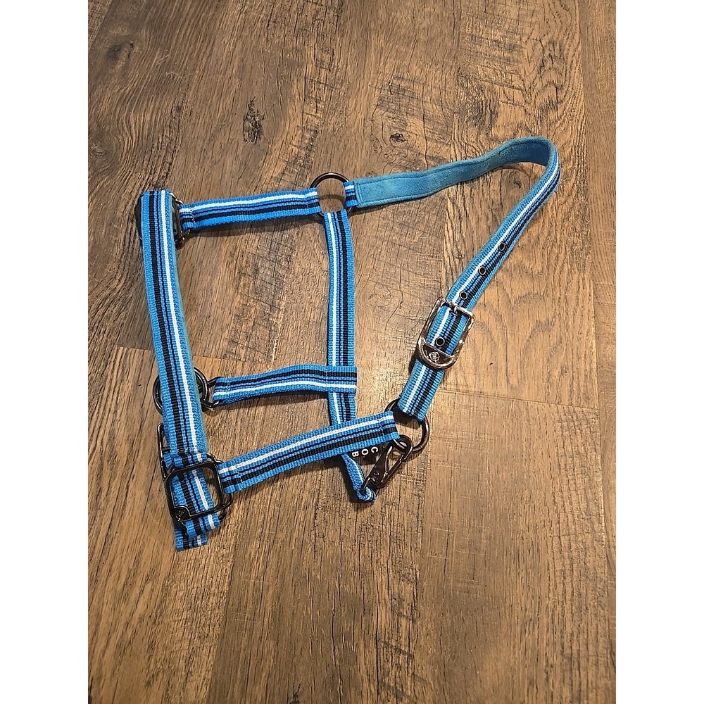 cob halter